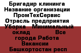 Бригадир клининга › Название организации ­ ПромТехСервис › Отрасль предприятия ­ Уборка › Минимальный оклад ­ 30 000 - Все города Работа » Вакансии   . Башкортостан респ.,Баймакский р-н